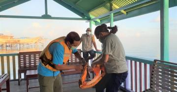 Safety comes first, putting on the life jacket before getting on the speedboat